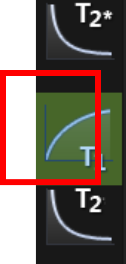 CVi42 toolbar: T2*, T1 (highlighted with red callout), and T2 mapping icons.